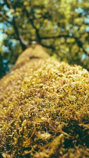 抖音网红黑料网站截图2