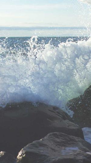 宝宝可以吃哈密瓜不截图3