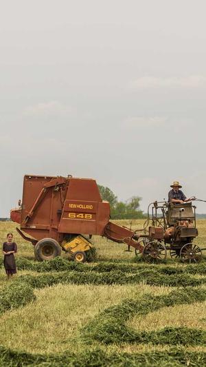 万里长征黑料不打烊最新截图2