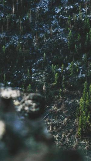 网红黑料 -APP截图3