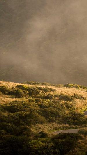 不打烊黑料截图2