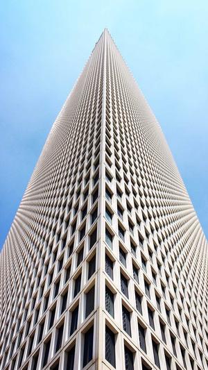 辛芷蕾黑料截图3