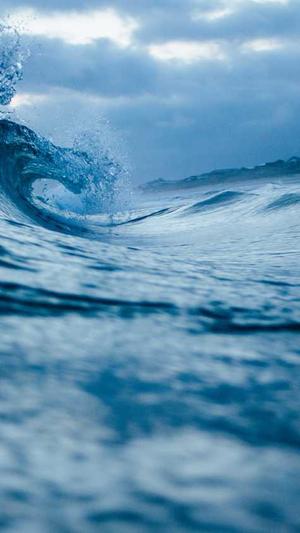 网红黑料 -APP截图2