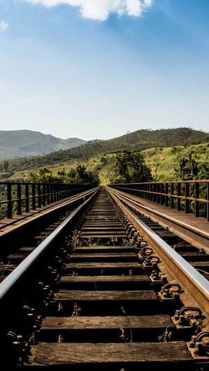 柿子和哈密瓜能一起吃吗截图1