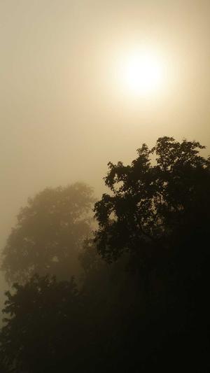 51吃瓜网-热心的朝阳群众截图3