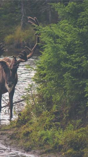 51吃瓜网在线黑料截图1