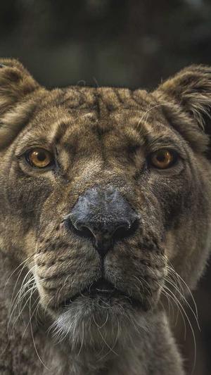 痞幼黑料不打烊图片截图2