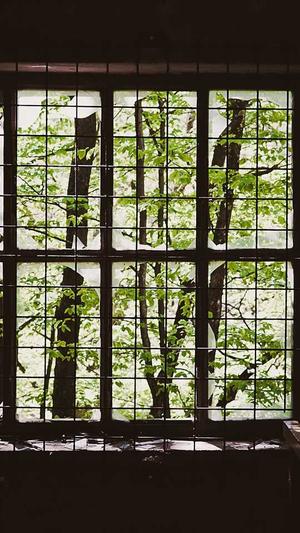 首页 - 黑料社区截图3