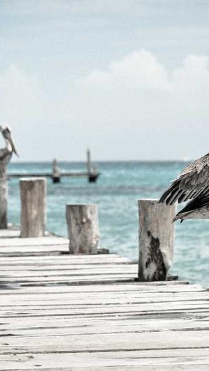 林彦俊黑料截图1