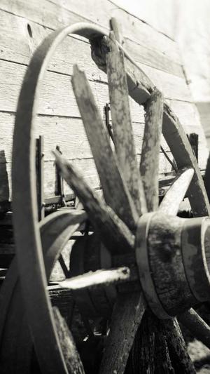 哈密瓜月经期间可以吃吗截图1