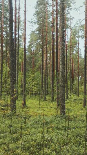 51吃瓜网-免费吃瓜张津瑜截图2