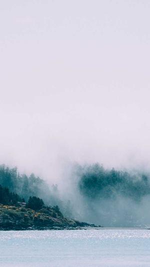 周黑鸭卤料包截图4