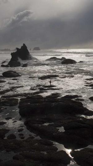 黑料社区app截图1