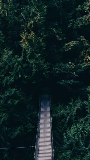 孕妇可以吃茄瓜吗截图3