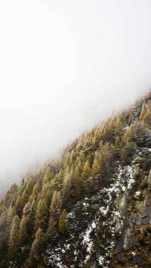 51吃瓜网在线黑料截图2