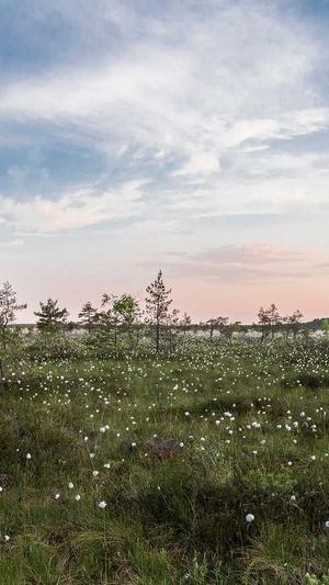 51吃瓜 今日吃瓜截图2