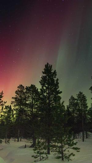 黑料爆料网网页版截图3