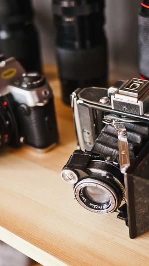 吊瓜怎么吃截图4