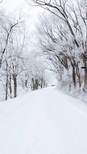 张艺兴黑料截图3