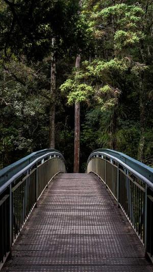 吃瓜黑料在线观看截图3