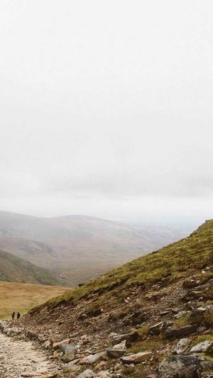 芒果和哈密瓜可以一起吃吗截图3