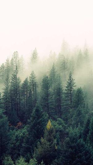 吃瓜是什么梗截图1