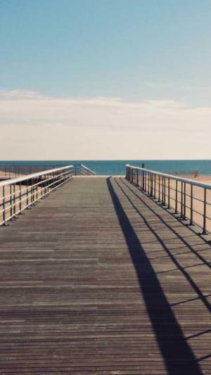 网红黑料入口截图3