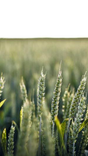 今日吃瓜热门大瓜每日更新截图2