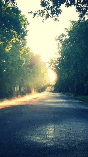 虾和哈密瓜能一起吃吗截图4