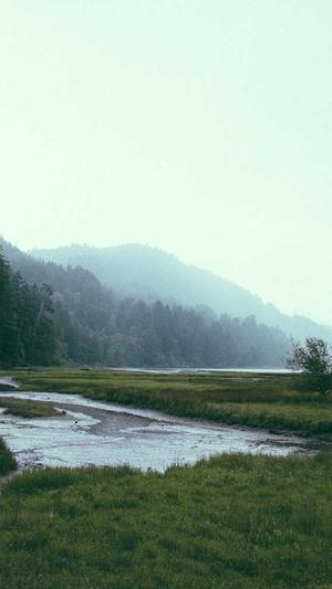 51吃瓜群众截图2