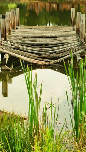 黑料网入口截图1