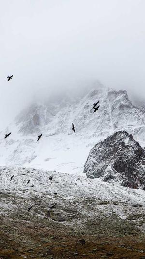 任嘉伦黑料截图3
