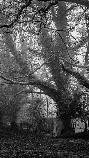 黑料社区网址截图5