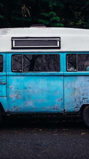 网红黑料 -APP截图4