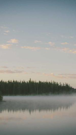 黑料社区怎么安装截图2