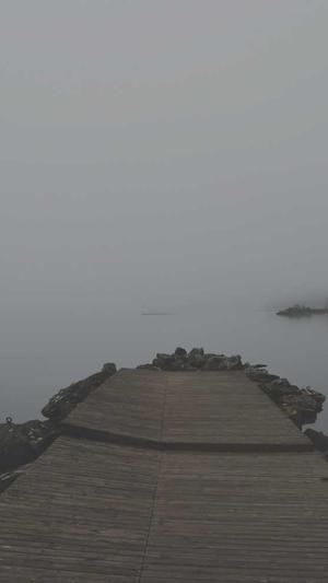 狗可不可以吃哈密瓜截图4