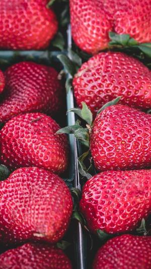 黑料不打料截图3