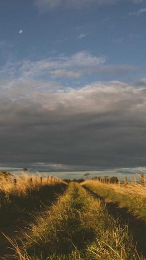 吊瓜图片怎么吃截图3