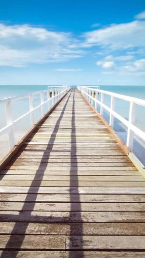 许魏洲黑料天涯截图4