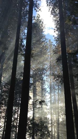 51吃瓜网-免费吃瓜张津瑜截图1