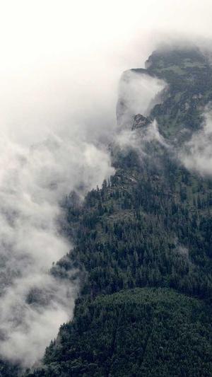 黑料正能量最新地址截图4