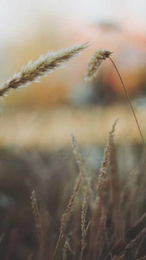 黑料不打烊so导航栏截图4